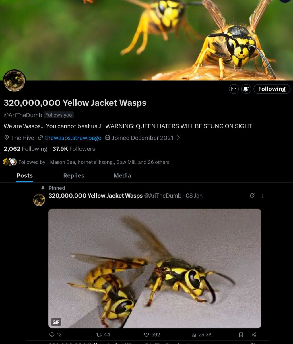 12,000 angry bees tweet media