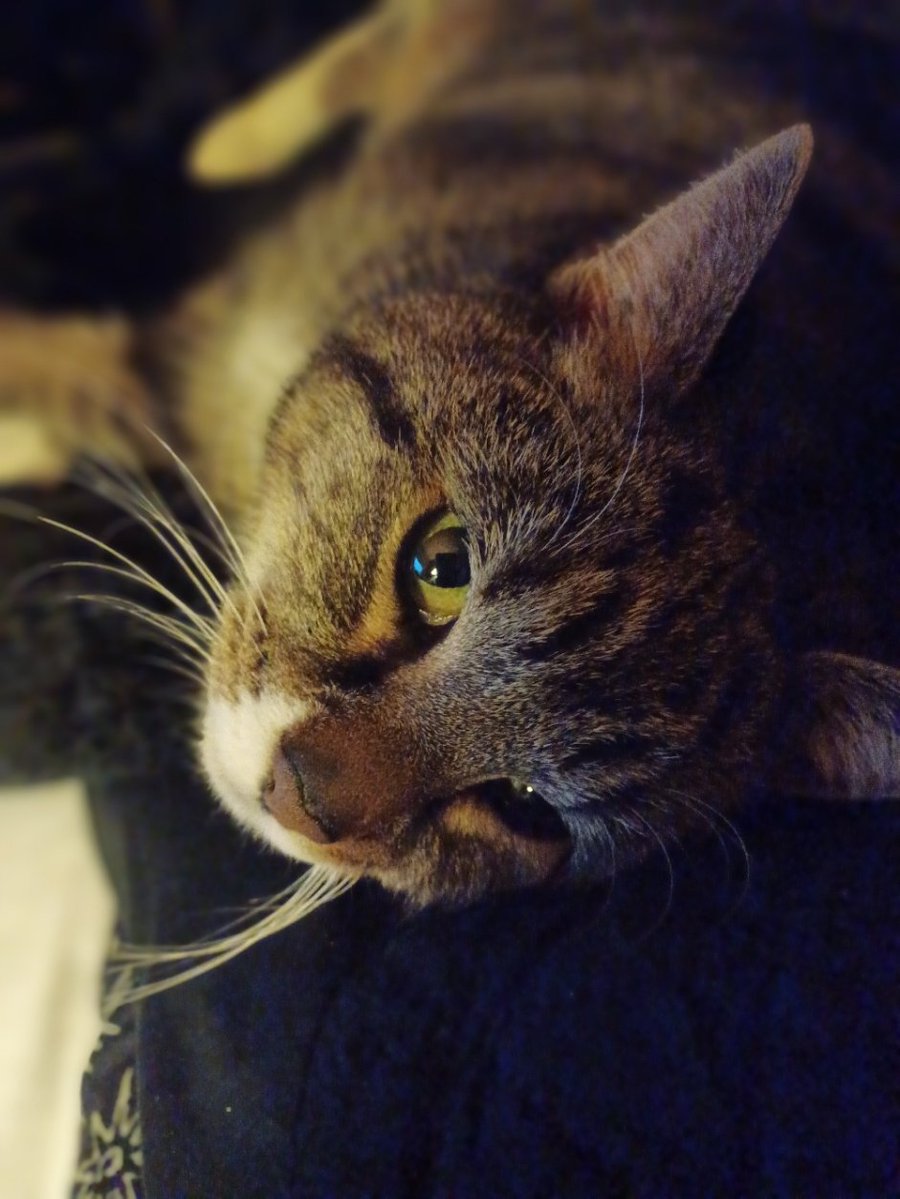 The Machine Stops🦇🦇🦇 tweet media