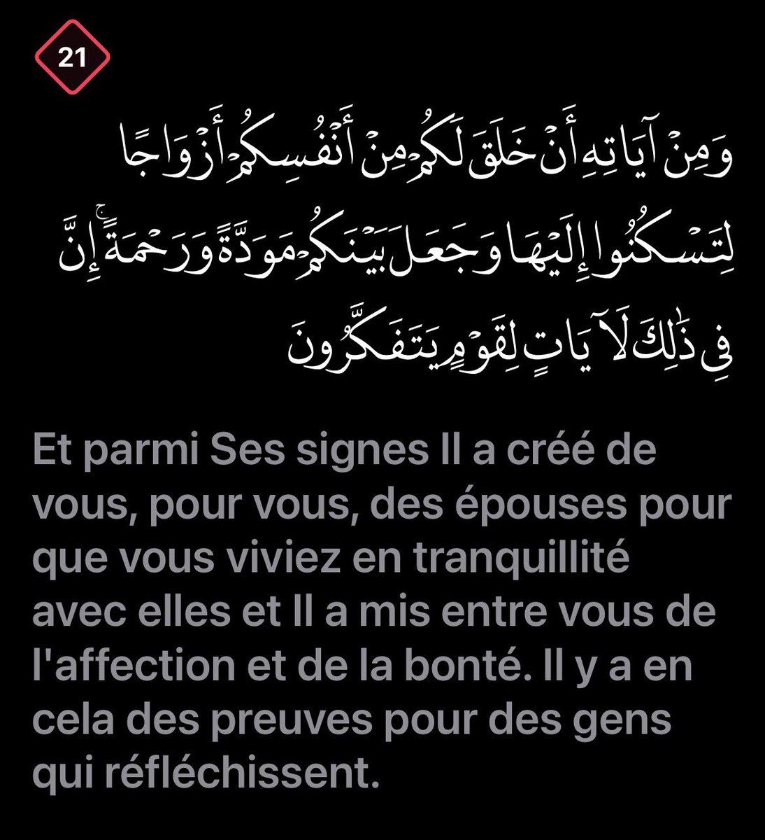 ᥫ᭡ tweet media