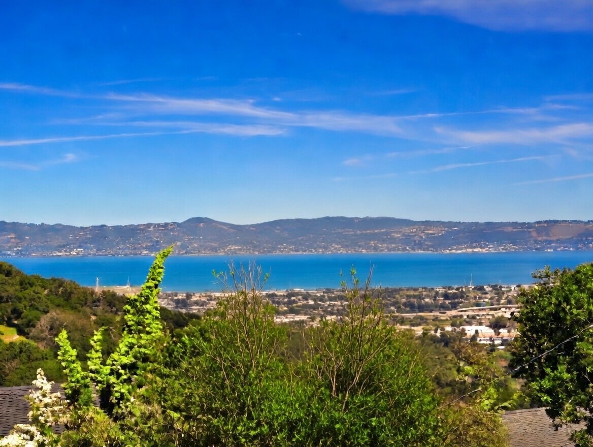 ValHarris tweet media