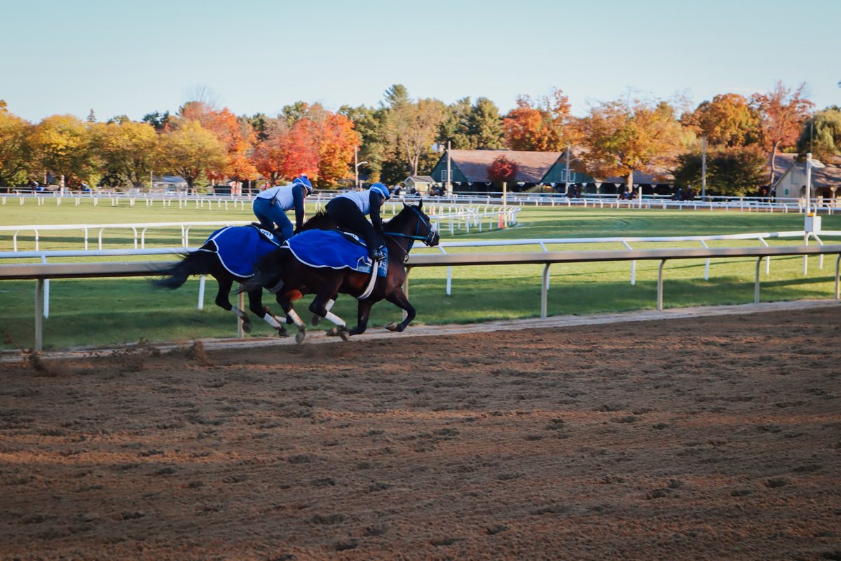 Backstretch Employee Service Team of NY (BEST) tweet media