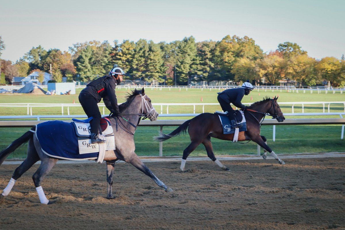 Backstretch Employee Service Team of NY (BEST) tweet media
