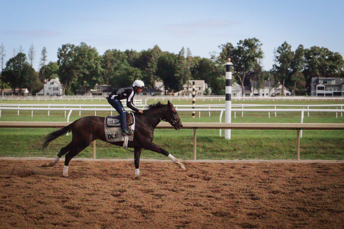 Backstretch Employee Service Team of NY (BEST) tweet media