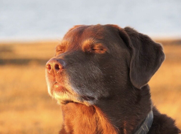 JustAlexx tweet media