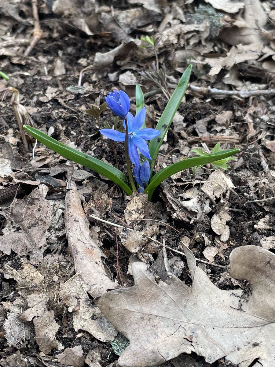 Олександр tweet media