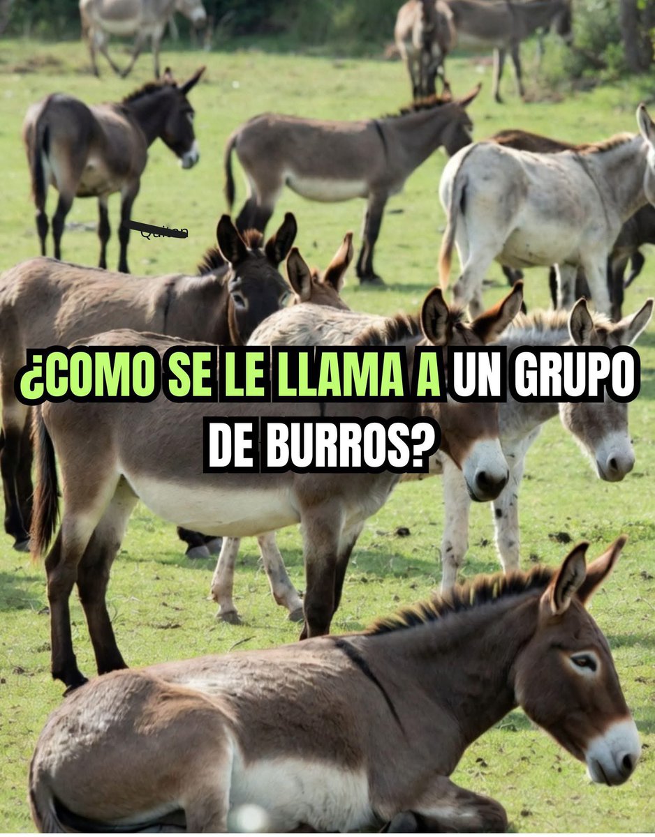 Teresa Mendoza 💜 tweet media