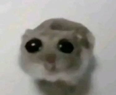 Taekashi tweet media