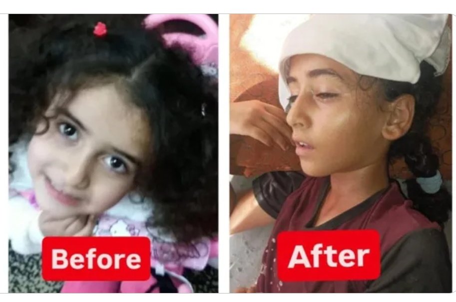 nemo🇵🇸 tweet media