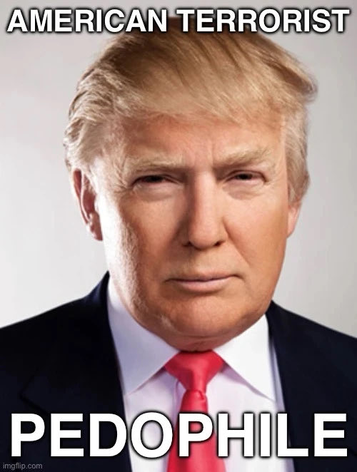 Turquoise Cat tweet media