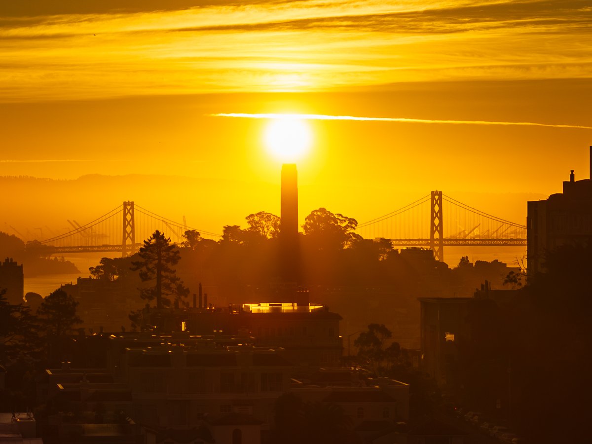 Stuart Berman tweet media