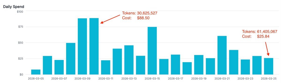 Leonardo Borges 🏂 tweet media