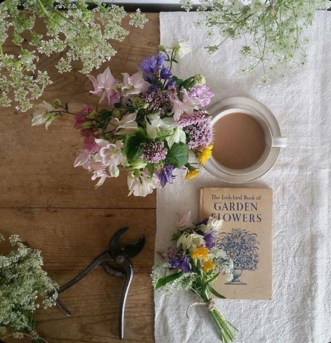 Elle Lookbook tweet media