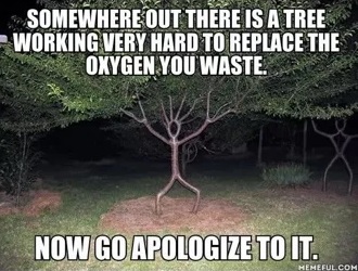 FlyoverTerritoryTN tweet media