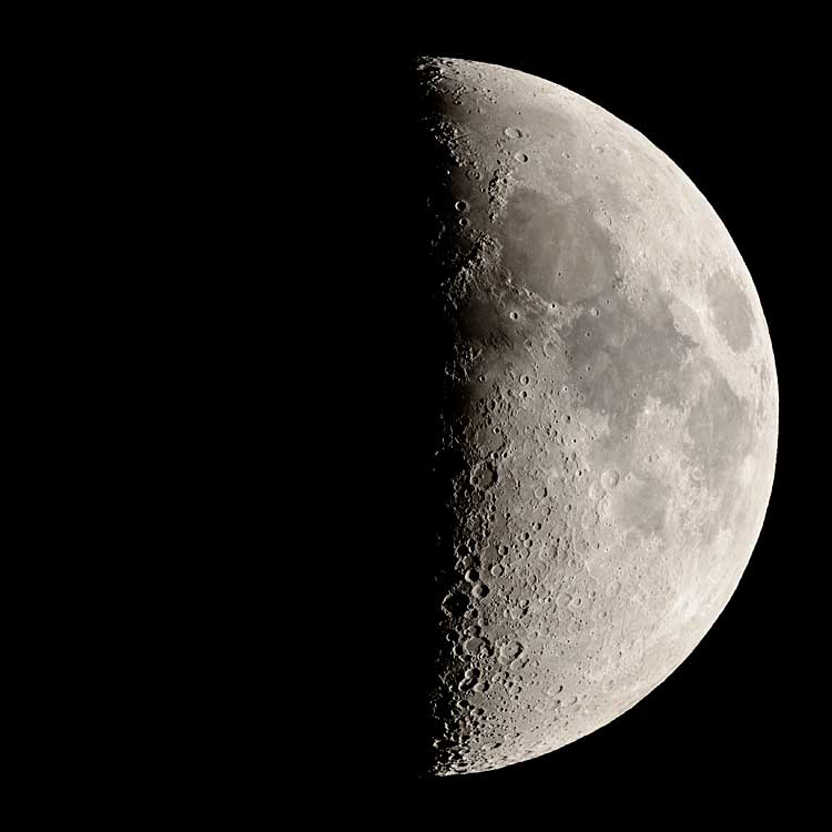 My Moon Phase tweet media