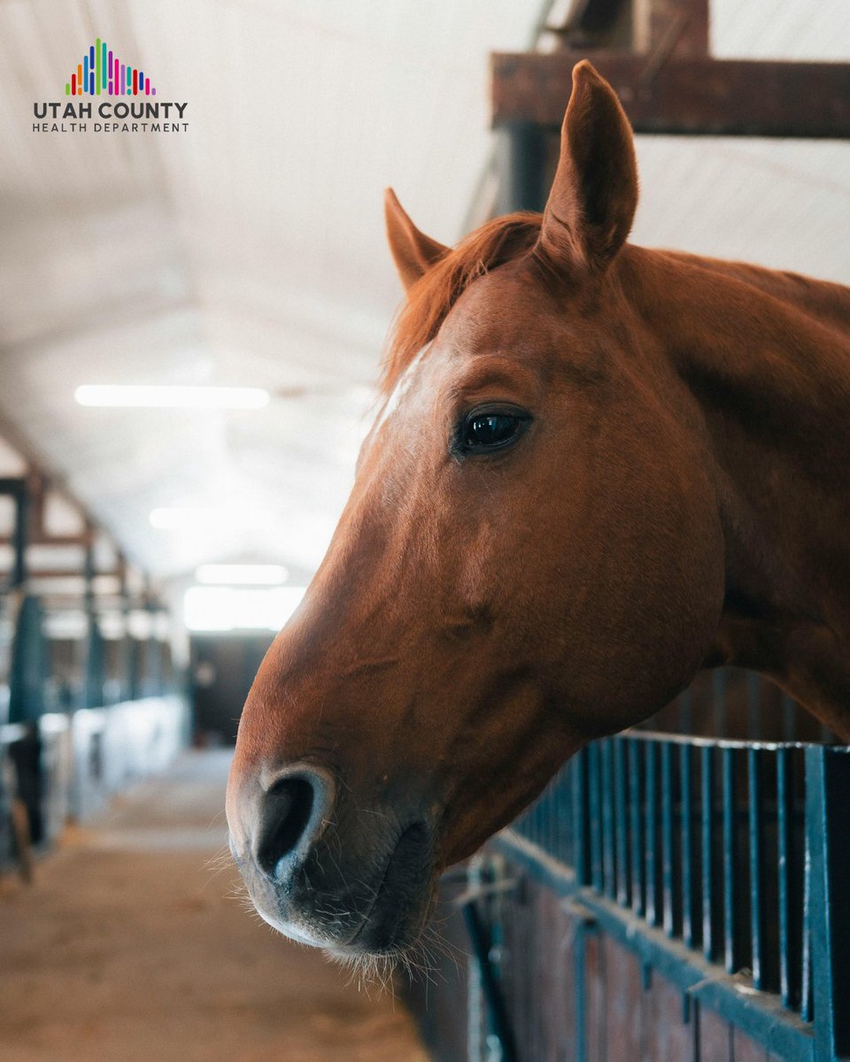 UtahCountyHealthDept tweet media