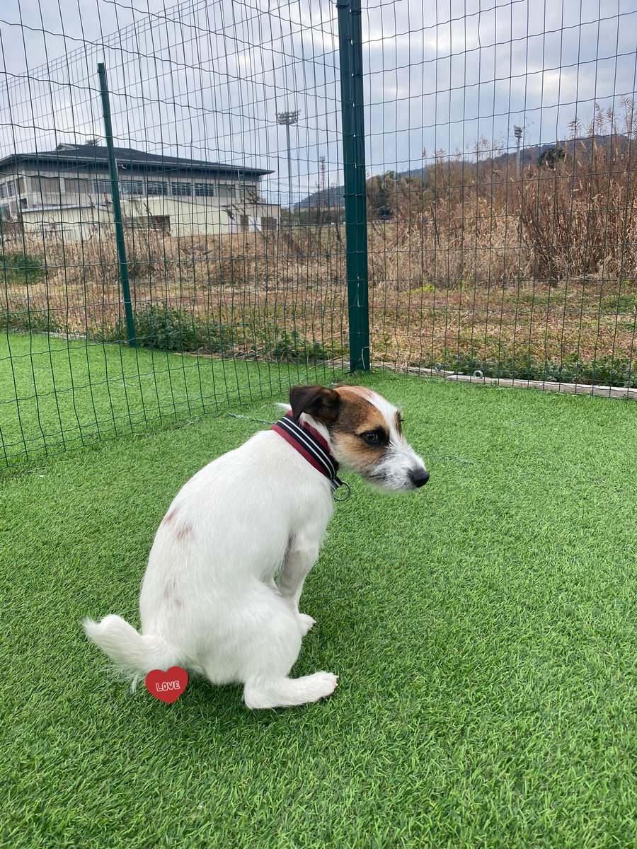 奈良漬け tweet media