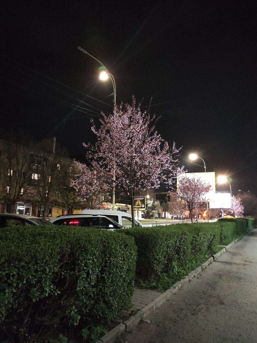 suicidal girl 💫 tweet media