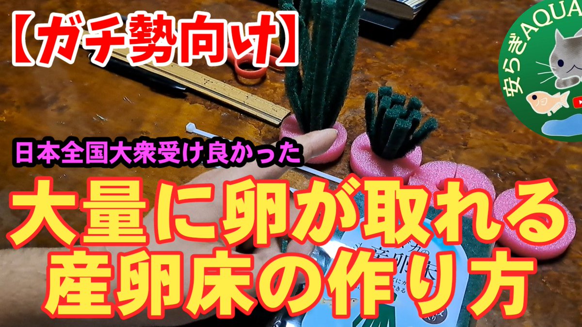 安らぎAQUAちゃんねる【YouTube】 tweet media