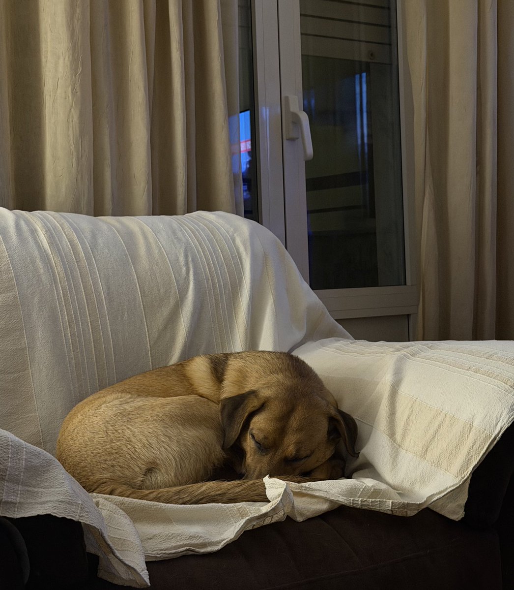 DisagioIsTheNewBlack tweet media