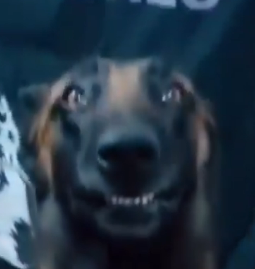 Edwin Heida tweet media