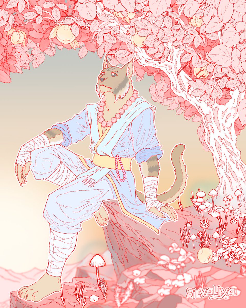 Silvaliya 🦭 tweet media