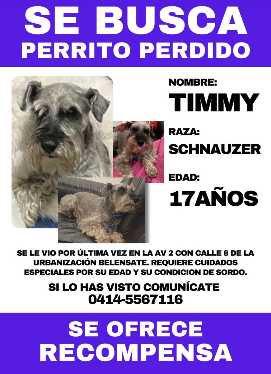 Amigos de Mérida, me pueden ayudar con un RT. Es un perrito muy querido 🥺❤️ #Mérida #venezuela
