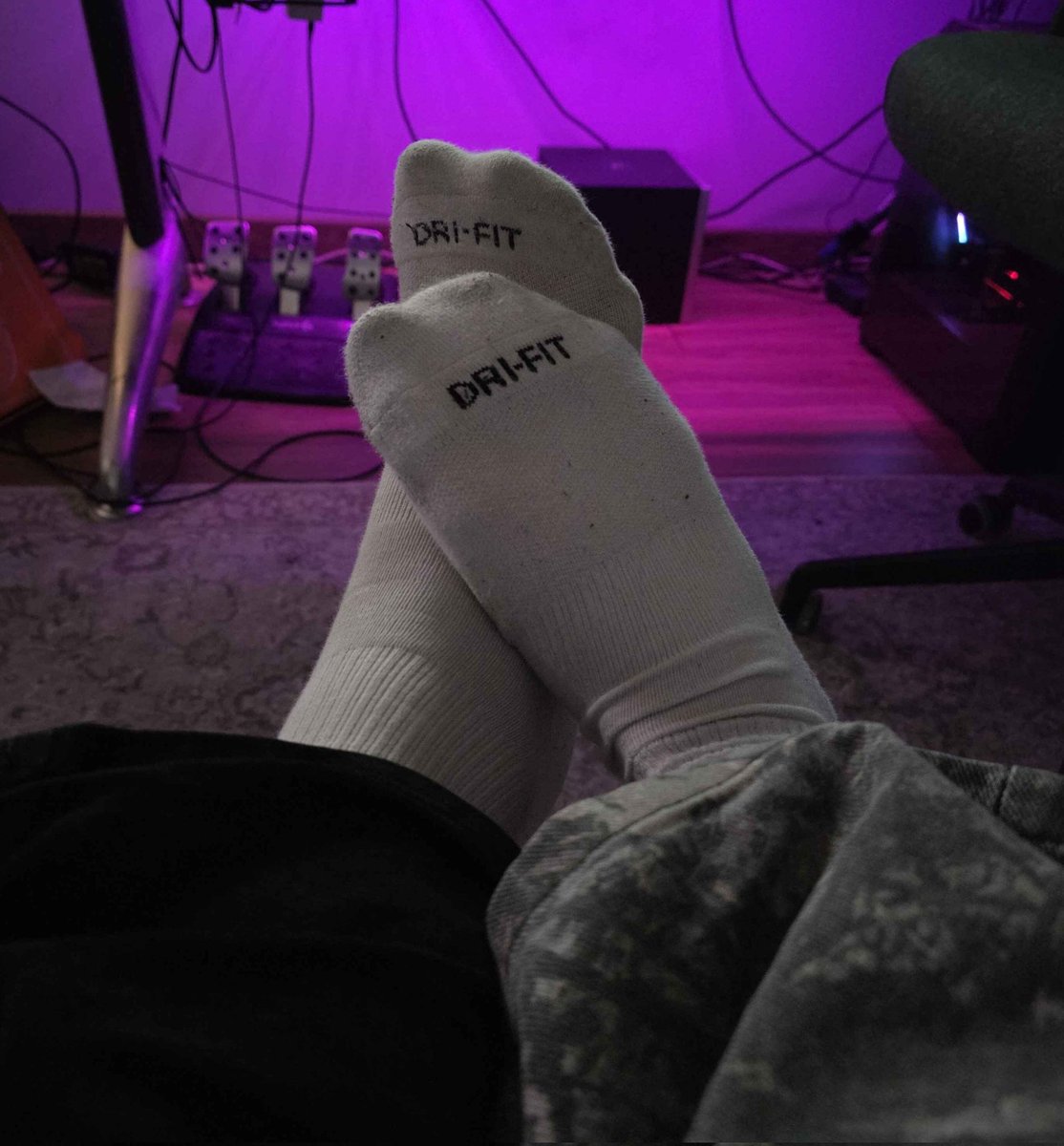 Sasha 🐾 tweet media