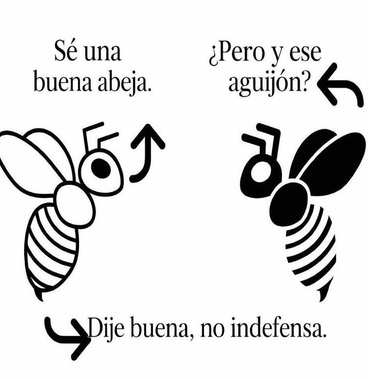 Más Ciencia tweet media