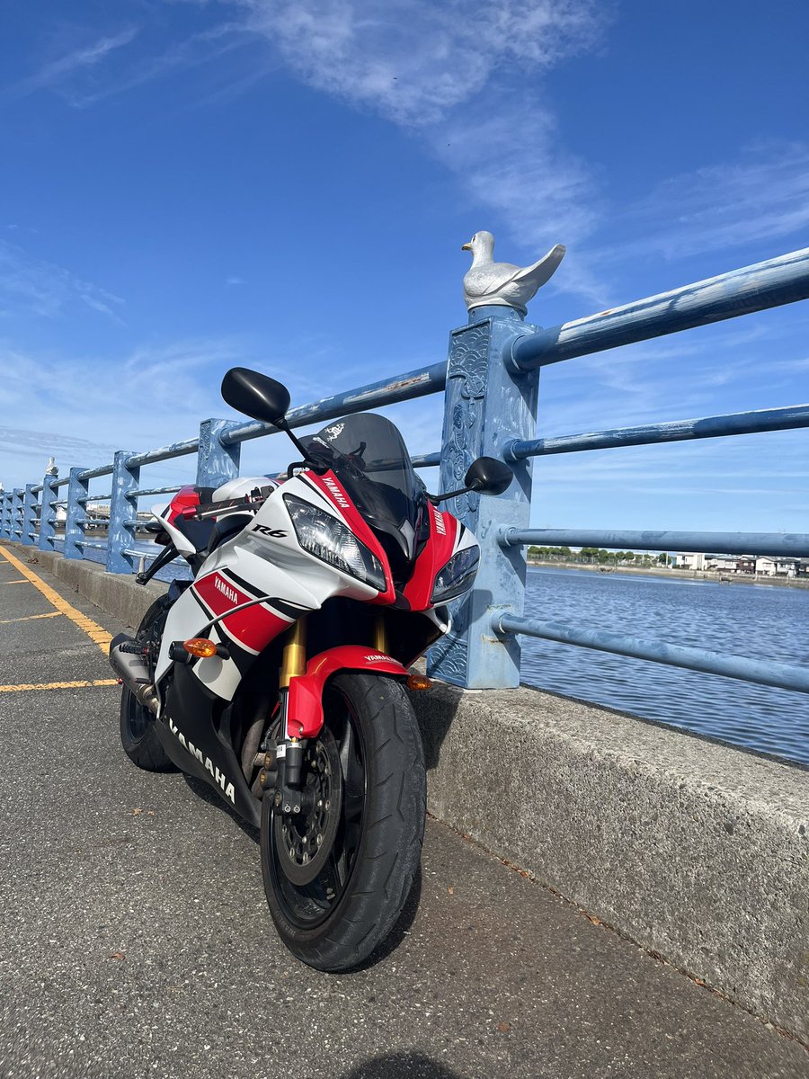 ぶぉん𝕏 tweet media