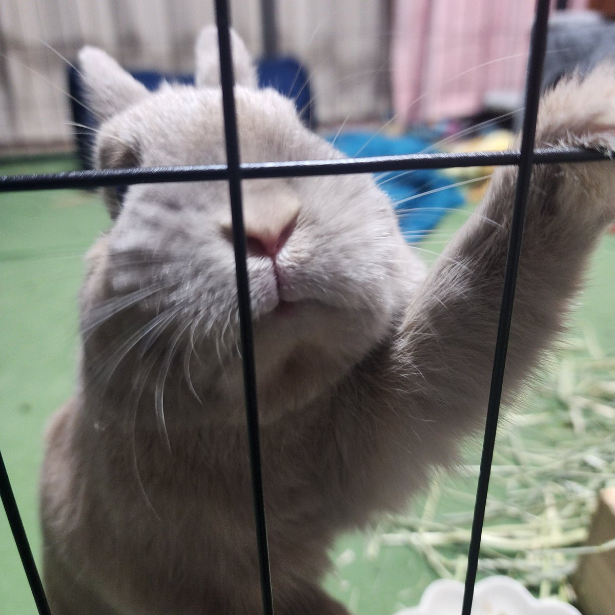 T7ふぉんNP tweet media