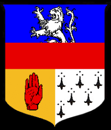 Ian Mac Fhíobhuí 🇮🇪 tweet media