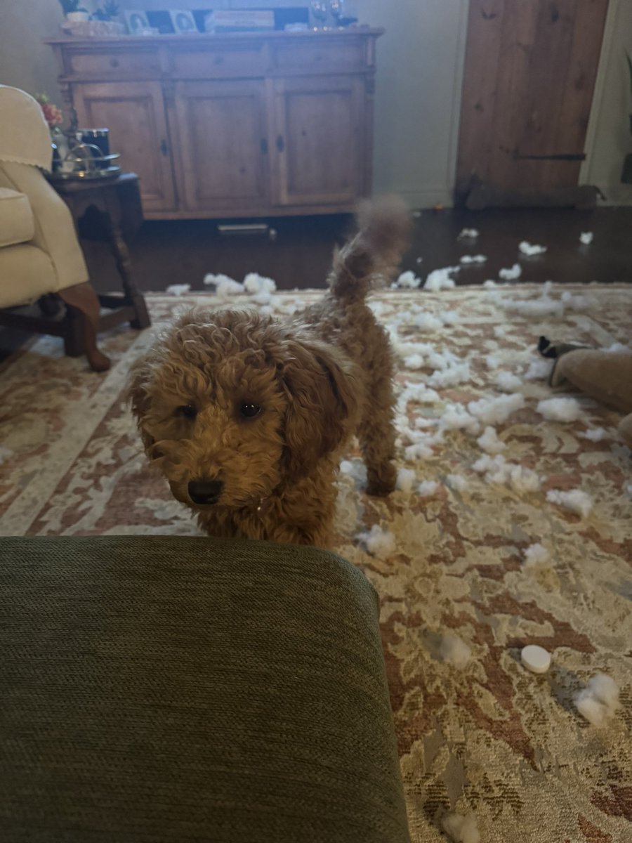 Simon Bennett tweet media