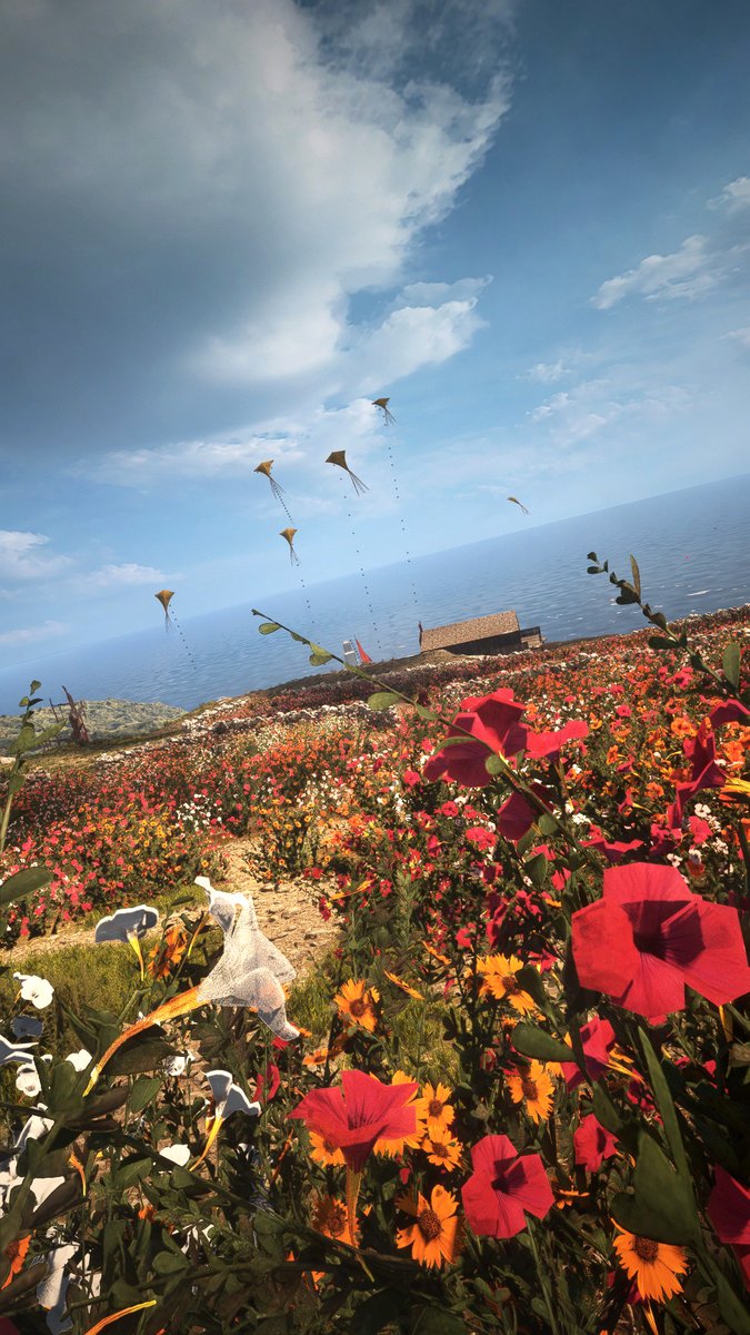 Steffi Syndrome tweet media