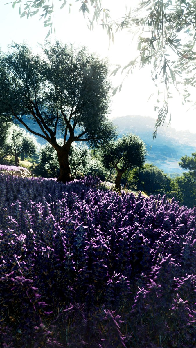 Steffi Syndrome tweet media