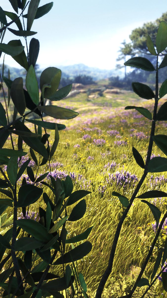 Steffi Syndrome tweet media