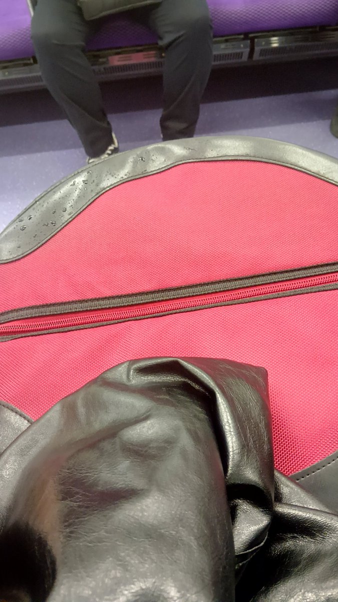 いいづか　あや🐢📯 tweet media