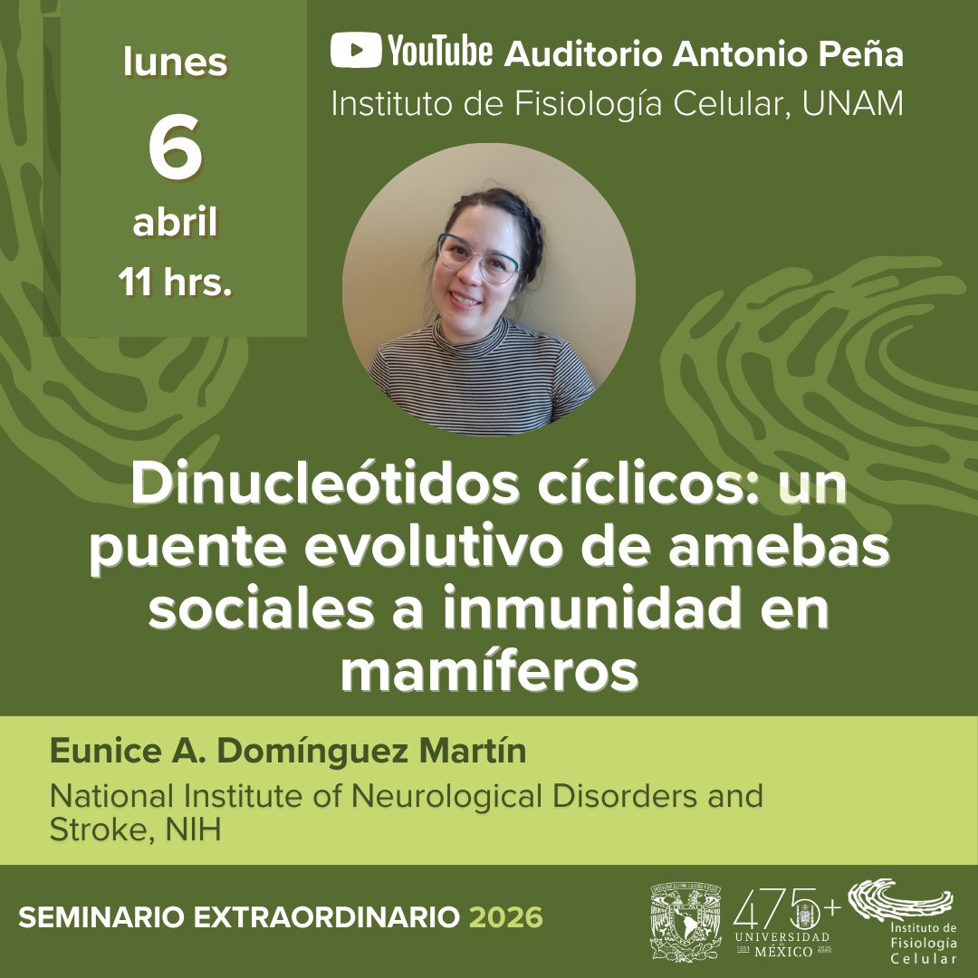 IFC_UNAM's tweet photo. Seminario Extraordinario 2026 🧬
Dra. Eunice A. Domínguez Martín (NIH)

🗓 6 de abril | ⏰ 11 h
📺 YouTube

Dinucleótidos cíclicos y evolución de la inmunidad 👀 https://t.co/8u7SXrcA5b