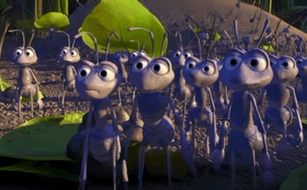 irl girl tweet media