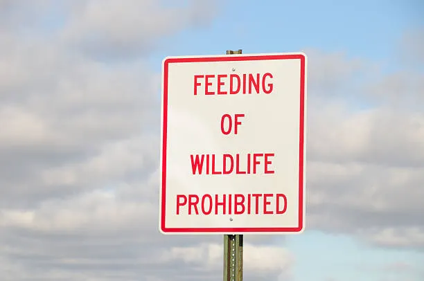 SquatchXXL tweet media