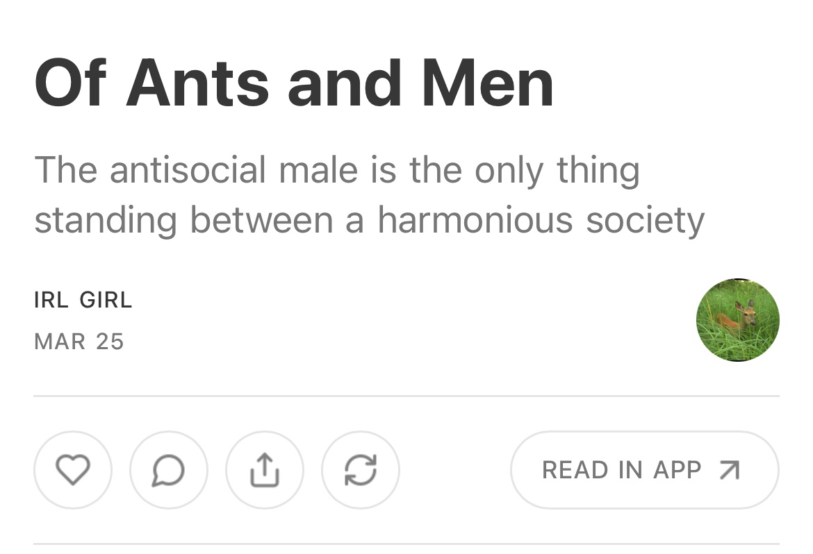 irl girl tweet media