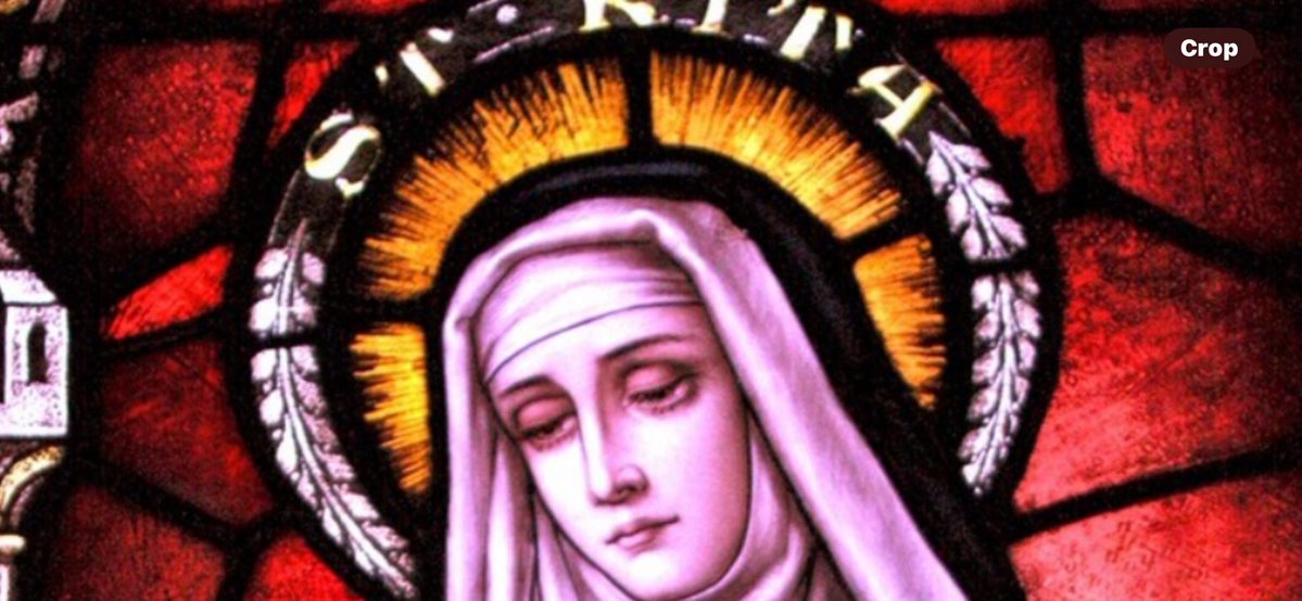 The Bonobo's, Old World Chan, Blue Collar Zen tweet media