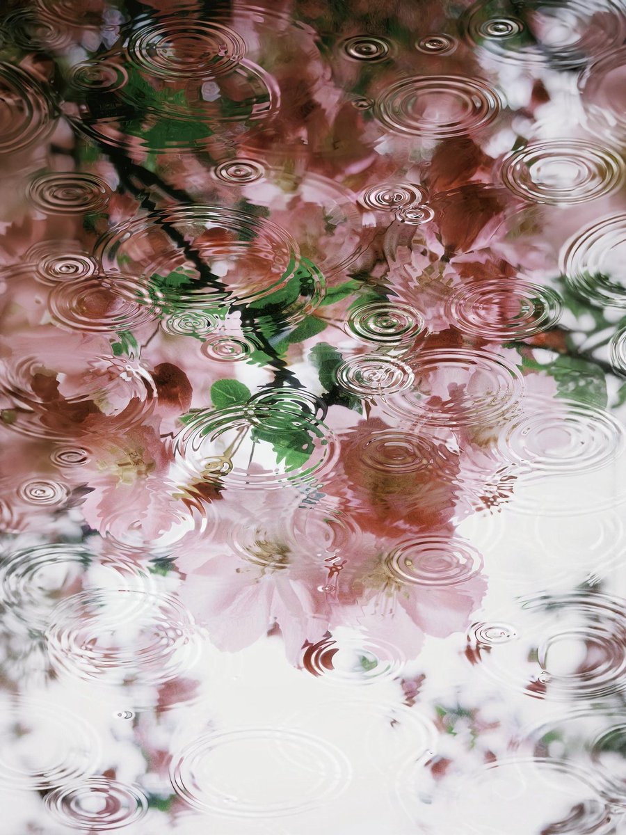 Love life tweet media