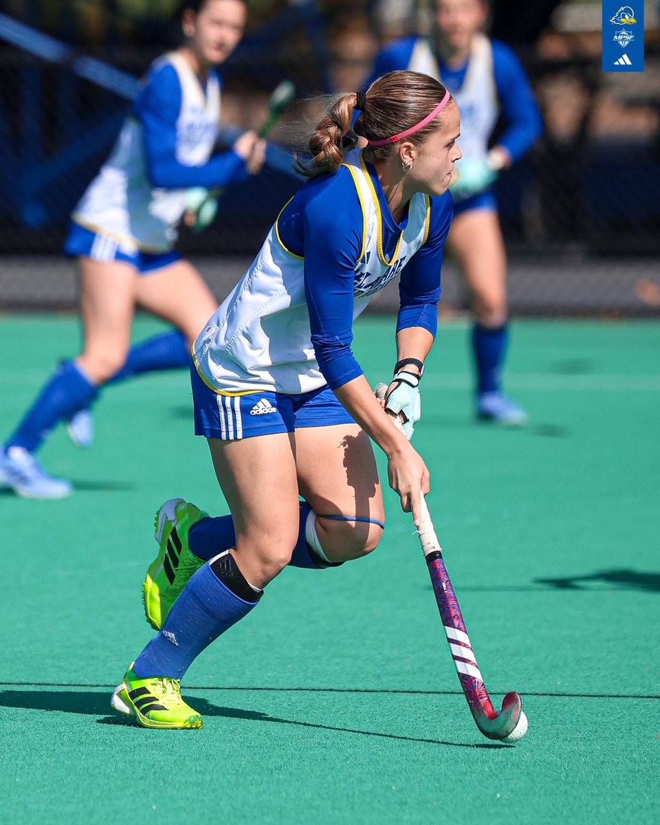 Delaware Field Hockey tweet media