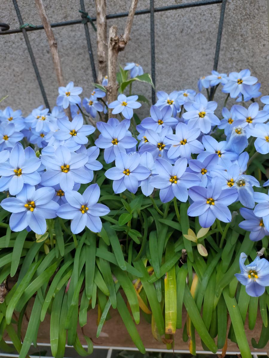 ℳℯℯ •*¨*•.¸¸☆*･ﾟ *. tweet media