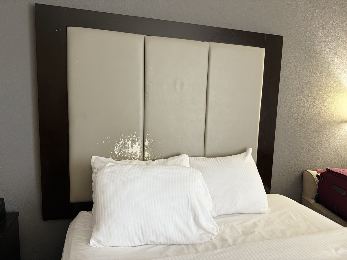 USMC Lady Vet 🇺🇸 tweet media