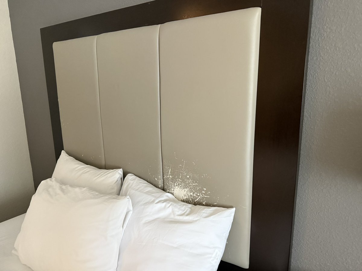 USMC Lady Vet 🇺🇸 tweet media