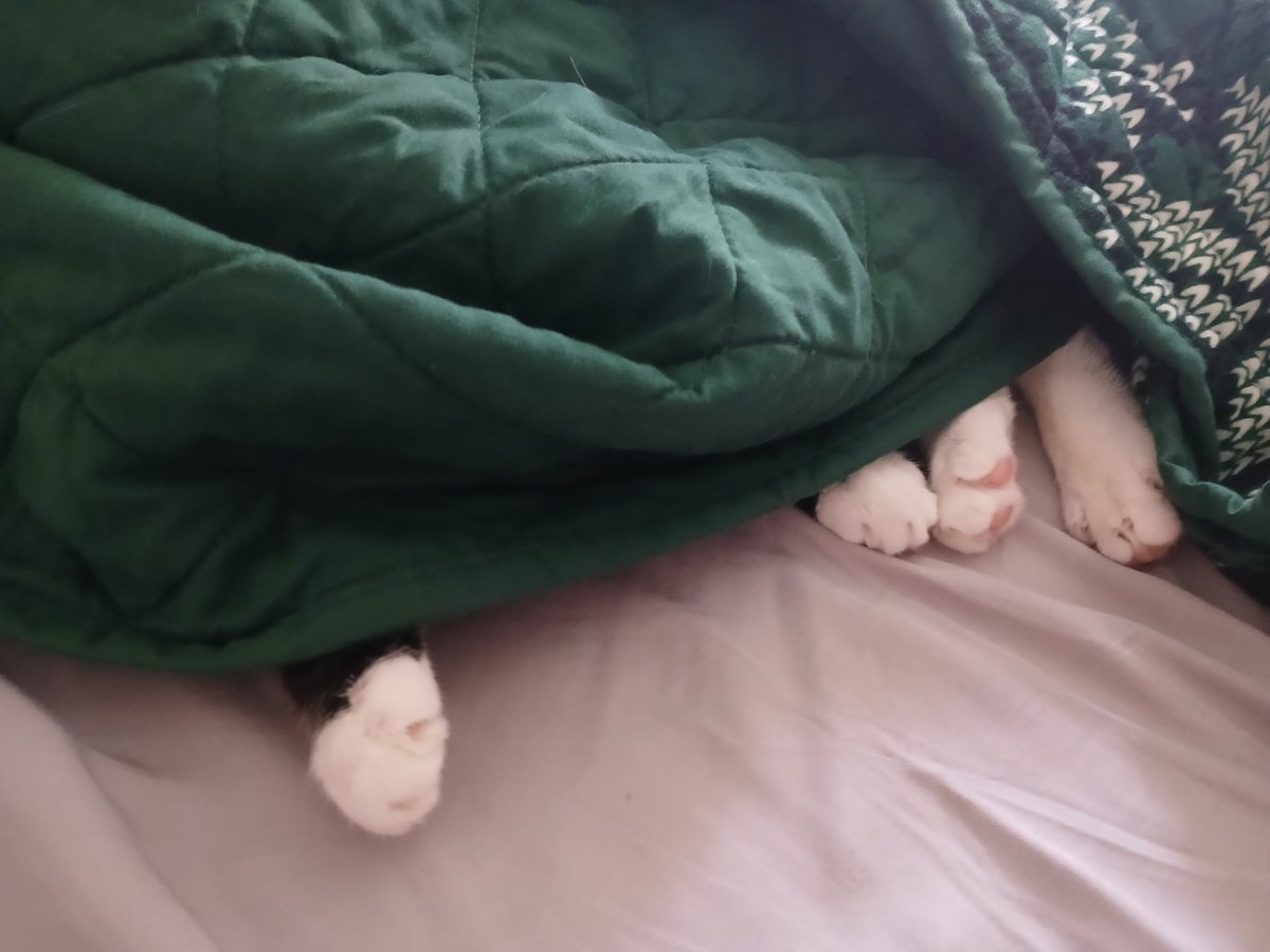 🌱 stick 🌱 tweet media