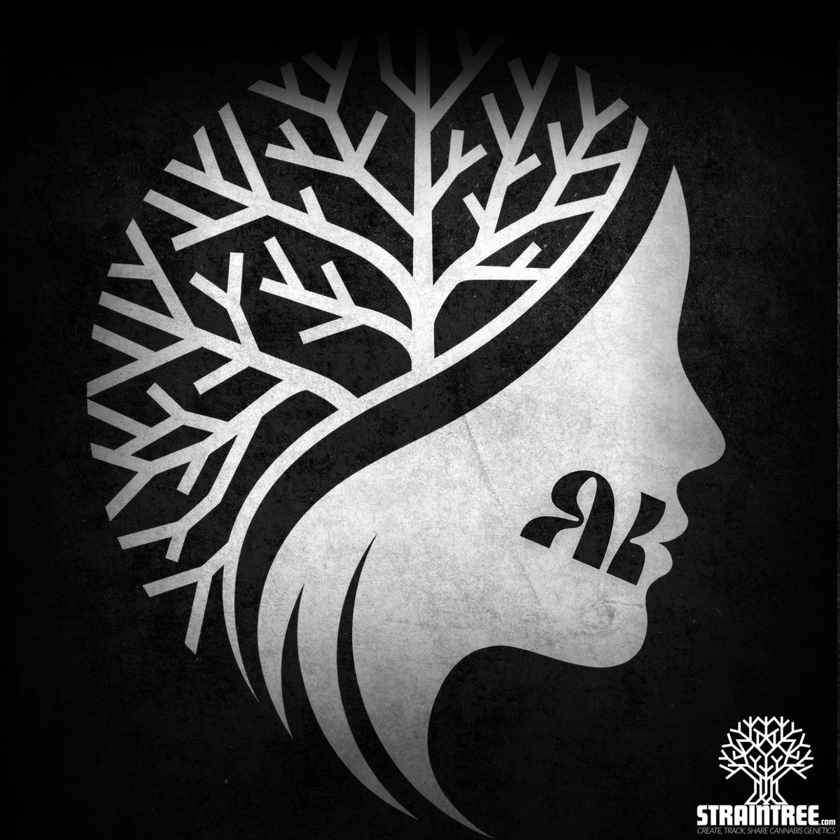 StrainTree tweet media