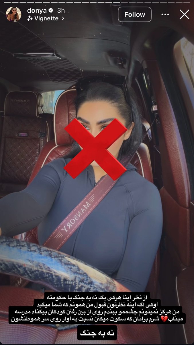 Negin Ragh tweet media