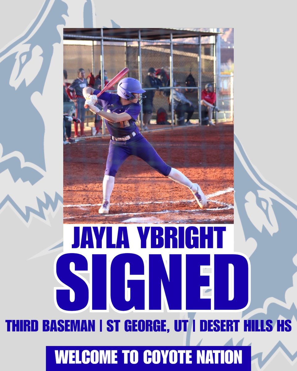 CSN_Softball tweet media